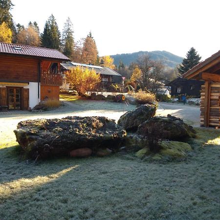 Huettenzauber Ferienwohnung Mitten Im Nationalpark Lindberg Zewnętrze zdjęcie