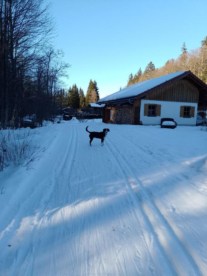 Huettenzauber Ferienwohnung Mitten Im Nationalpark Lindberg Zewnętrze zdjęcie