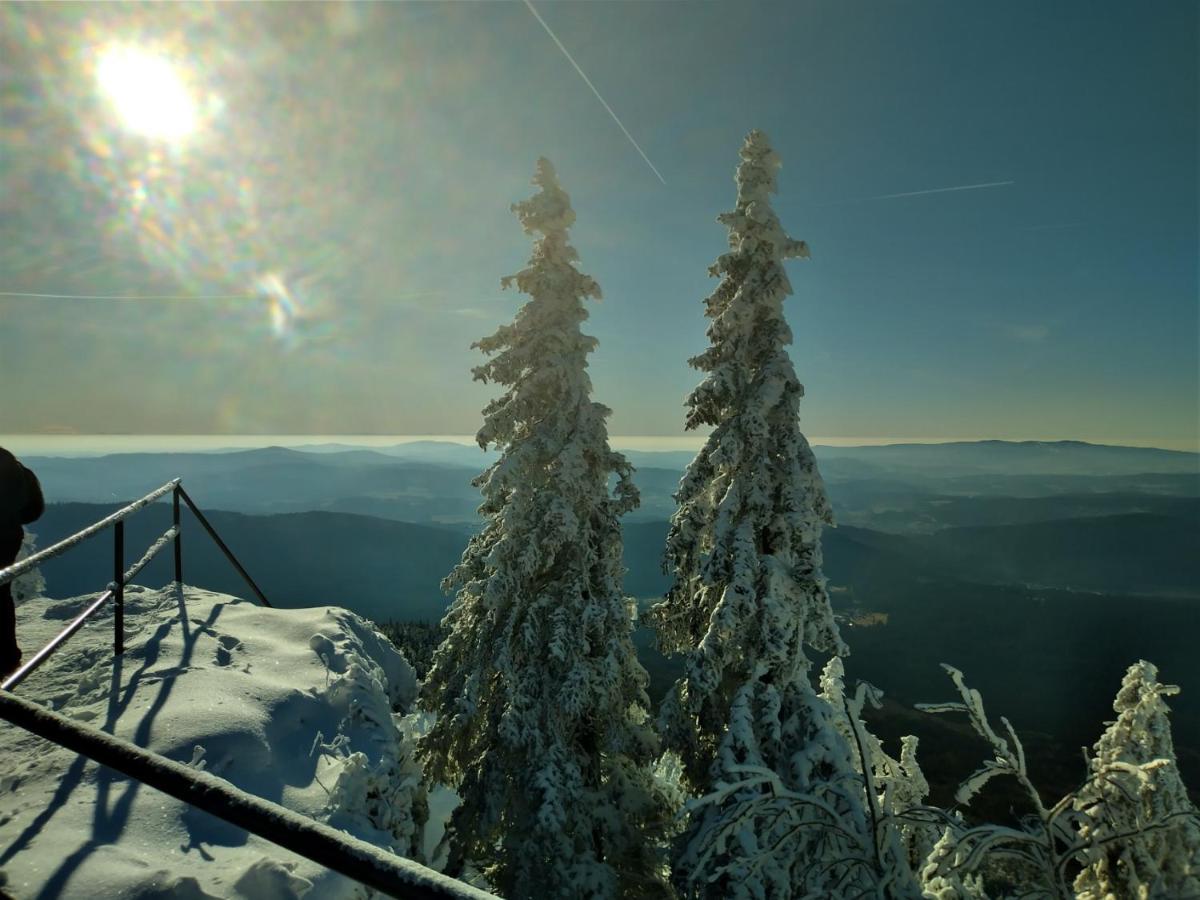 Huettenzauber Ferienwohnung Mitten Im Nationalpark Lindberg Zewnętrze zdjęcie